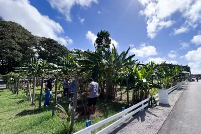 notícia: Expofeira 2026 contará com Arena do Agro, serviços e incentivo à produção rural