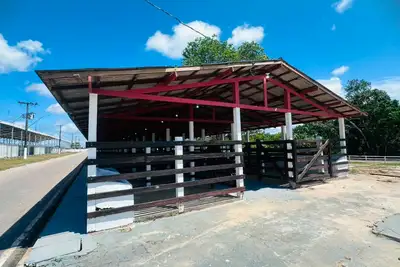 notícia: Expofeira 2026 adota protocolos sanitários para garantir segurança aos animais