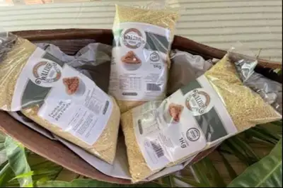 notícia: Reconhecida pela qualidade, farinha de São Joaquim do Pacuí será destaque na Expofeira 2026
