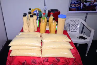 notícia: Mandioca além da farinha: produtor do Pacuí destaca potencial econômico e gastronômico na Expofeira 2026