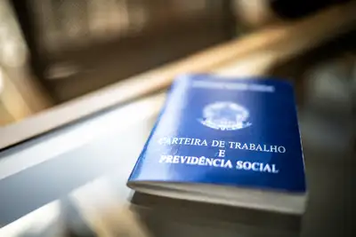 notícia: Dados do IBGE orientam análise sobre qualificação profissional no Amapá