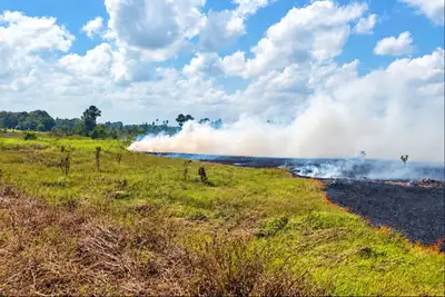 notícia: Fiscalização usa tecnologia em campo para identificar incêndios e combater crimes ambientais no Amapá