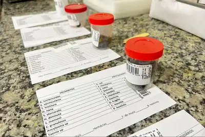 notícia: Exames laboratoriais orientam diagnóstico e acompanhamento da evolução do tratamento de pacientes no HCAL