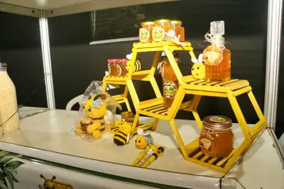 notícia: Do hobby ao empreendedorismo: holandês encontra no Amapá uma nova vida produzindo mel de abelhas nativas
