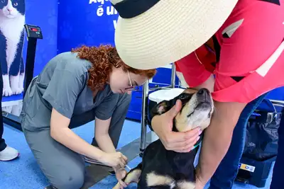 notícia: Causa animal: Governo do Estado realiza mutirão de castração gratuita  para cães e gatos no Residencial Macapaba 2